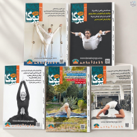 اشتراک ۶ ماهه ماهنامه دانش یوگا