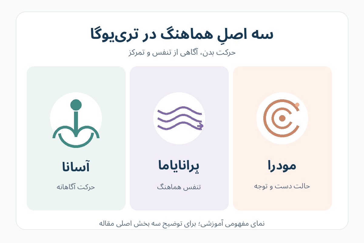نمودار سه بخش آسانا، پرانایاما و مودرا در تری یوگا